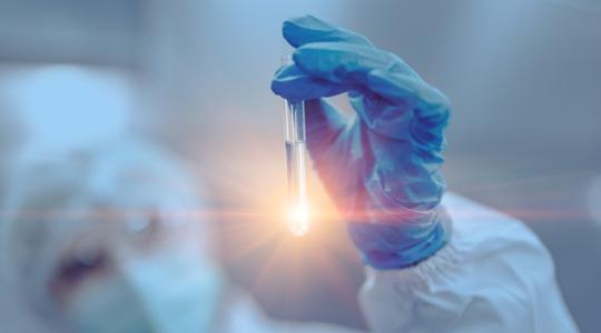 Magyar kutatók menthetik meg a burgonyát a veszélyes baktériumtól