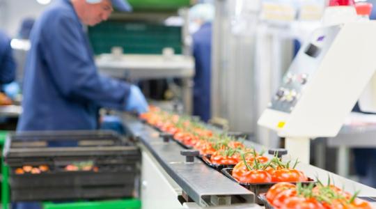 Újraosztják a lapokat a termelői szervezeteknél: ma nyílnak meg a milliós források