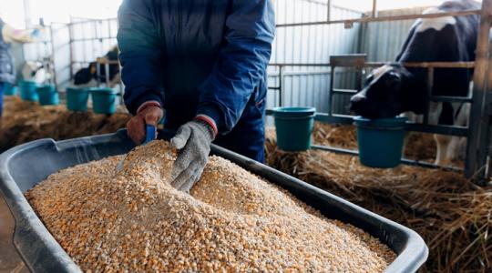 A titokzatos 60–30–10 szabály: így lesz sikeres egy állattartó gazdaság 2026-ban