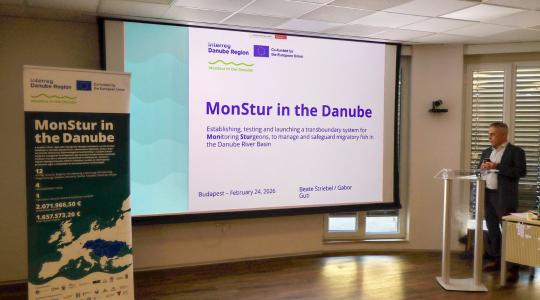 Rejtélyes vándorok a Duna mélyén: nagyszabású terv készül a magyar tokfélék védelmére