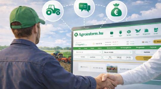 "Ez az első platform, ami szóba kerül” – Könnyedén sikerre viheted üzleted a Piactérrel!