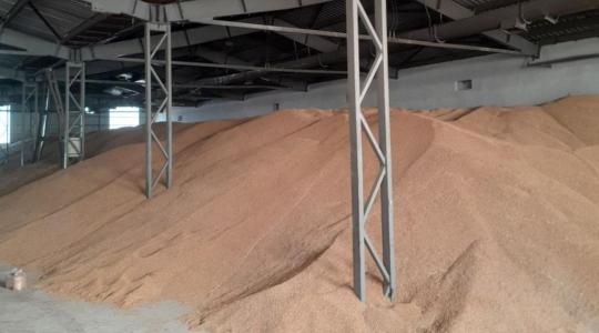 Független vizsgálatok a terménybiztonság szolgálatában