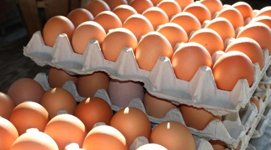 Rekordmennyiségű ukrán tojás érkezik Európába