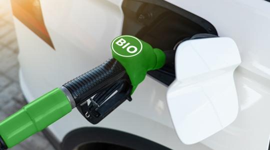 Még több papírmunka a repce- és kukoricatermelőknek