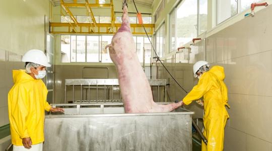 A „Nagy Testvér” beköltözik a vágóhidakra