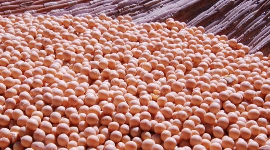 Vége az "olcsó" takarmánynak? Ezt megérezhetik az európai gazdálkodók!