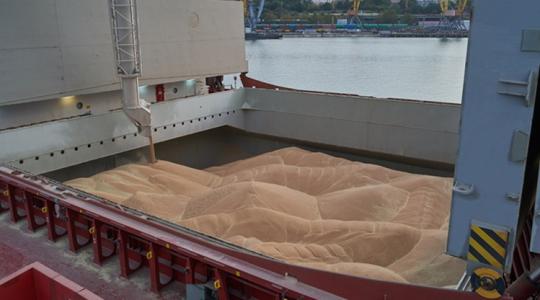 Már eladta? Ismét 70 ezer forint a búza