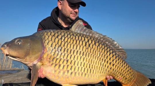 Csodafegyver: ezzel a különös ízesítéssel percek alatt meglett a kapitális tőponty