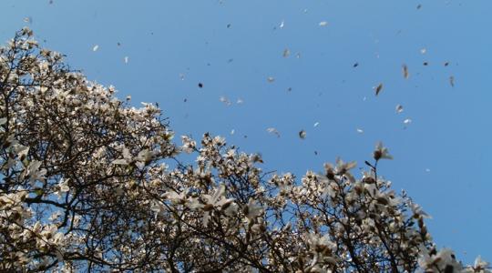 Időjárás: Ne lepődj meg, ha át kell gondolnod a kinti munkát +VIDEÓ