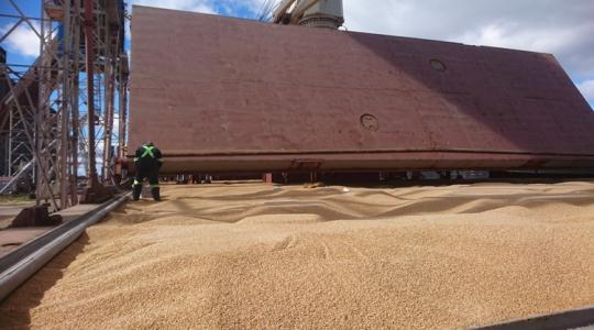 Bekúszik a bőrünk alá is ez a háború, itt a magyarázat sok mindenre