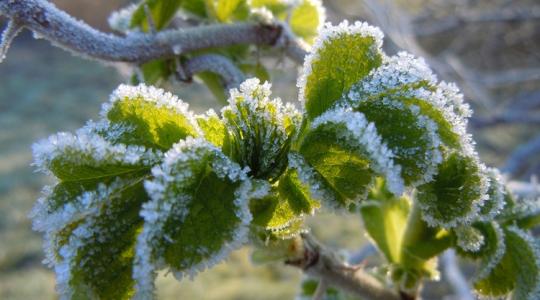 Időjárás: Derült nappalra dermesztő reggel jön +VIDEÓ