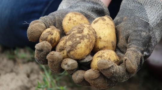 Nálunk alapvető, odaát luxus?