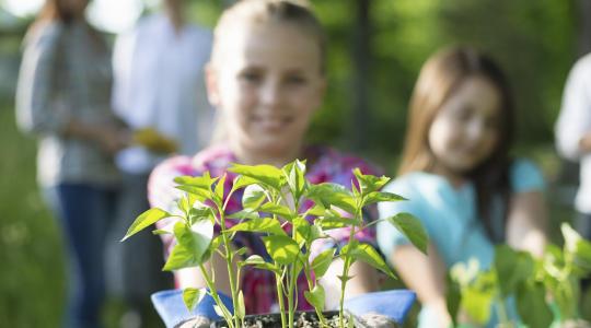 4 millió forint zöld fejlesztésekre: Elstartolt a Zöld Rügy díj a határ menti településeknek