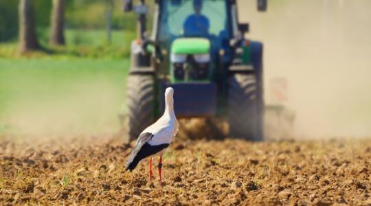 Használd ki a hétvégét, jövő héten nagy fordulatot vehet az időjárás!