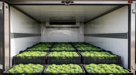 A kamionon kívül nem ismernek más szállítóeszközt: drágul a zöldség