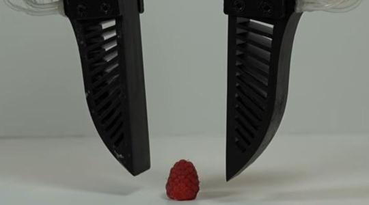 Váratlan fejlesztés Texasból: megoldódott az automatizált gyümölcsszedés legnagyobb gondja