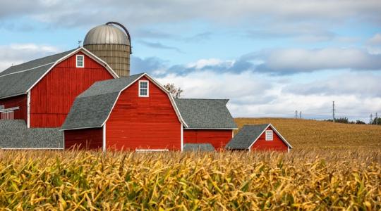 A nagy felfordulások mindig a helyi katasztrófákkal kezdődnek