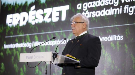 Drasztikus változások: elindult az ország legnagyobb erdészeti mentőakciója