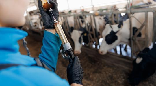 Készülj fel: nem tartható tovább ez a régi reflex az állattelepeken