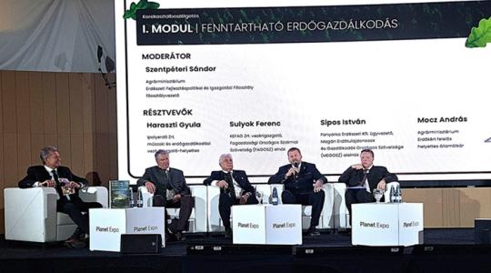 IKEA bútor és tűzifa: zavaros üzenetek a környezettudatosság körül