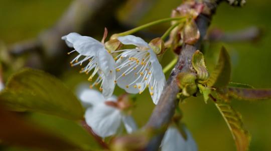 Időjárás: Kritikus órák jönnek a határban
