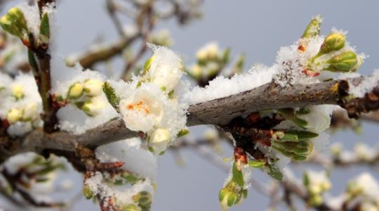 3 napos előrejelzés: Így jutunk el a 20 foktól a fagyos szélig és a havazásig