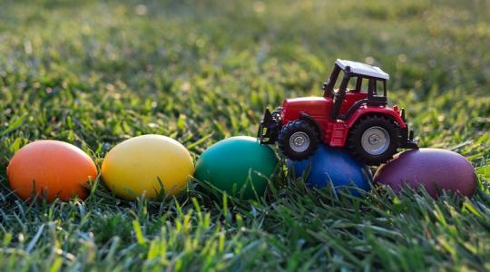 Villámgyors és olcsó! Húsvéti hangulat pillanatok alatt!