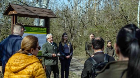 Rönkgátak és holtfa: furcsán hangzik, de ez menti meg a város levegőjét