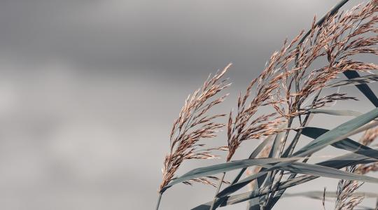 Csillagfényes éjszakából viharos szerda: készülj a változásra!