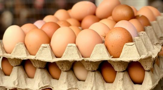Veszélyes anyag a tojásban: évtizedek óta tiltott szert találtak az ukrán importban