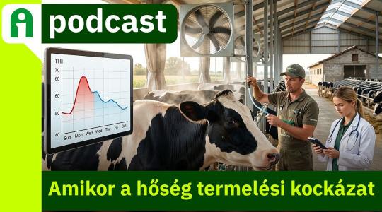 Agroinform Podcast: Állati teljesítmény nyáron – hogyan védekezzünk a hőstressz ellen?