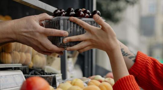 Rövidebb tenyészidő, kevesebb vitamin: kiderült, miért nem olyan az íze az ételnek, mint régen