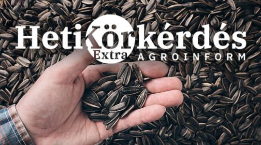 Tavaszi vetőmag-kínálat: mi érhető el most? – Heti Körkérdés Extra