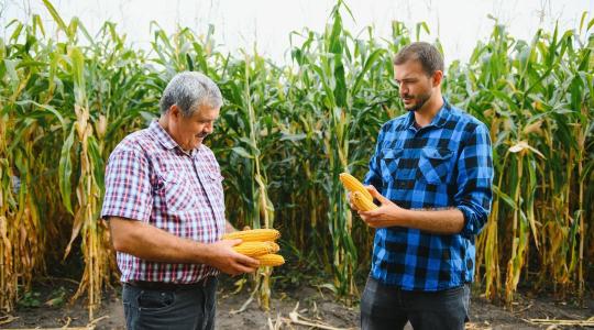 Ki viszi tovább a gazdaságokat? Borul a papírforma!