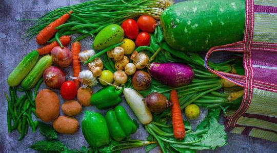 GMO-jelölés nélkül jöhetnek az új növények? Lépést sürget a Magyar Biokultúra Szövetség