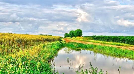 A klímaváltozás elleni védekezés a talajban kezdődik