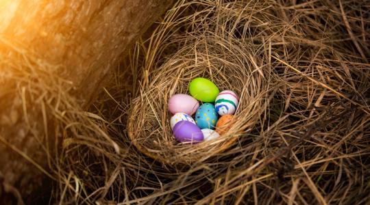 Ha ezt te is így csinálod, ezt a húsvétot nagyon fogjátok szeretni!