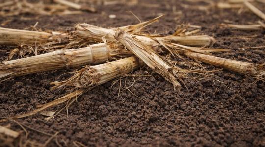 Mindenki az aszályról beszél – pedig nem ez a fő probléma