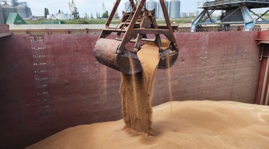 Élelmiszer-biztonság a sivatagban: 6 hónapnyi tartalék a totális éhínség ellen