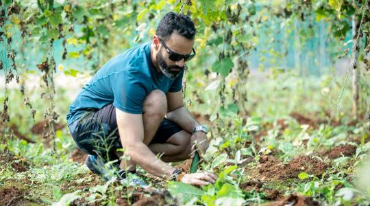 Új szabály 2026-tól: a munkaügyi hibák pénzbe kerülnek a gazdáknak