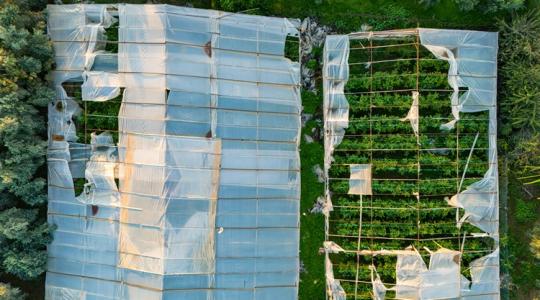 Időjárás: Vigyázz a fóliákra, 95 km/h-s szélrohamok téphetik meg a gazdaságokat!