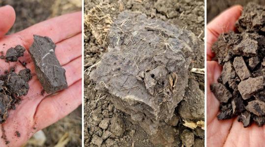 Talajstratégiák I. rész – Tömörödöttség