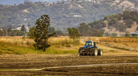 Módosult a KAP rendelet: Könnyítések a kistermelőknek, szigorúbb kontroll a digitális adatoknál