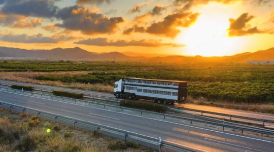 Útdíj: segítség a gazdáknak, hosszabb érvényesség a viszonylati jegyeknél
