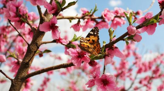 Agrometeorológia: négy hét szárazság után érkezett meg a várva várt csapadék