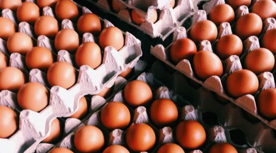 Húsvét előtt ellenőrzött a Nébih: sonkák, tojások, italok a fókuszban