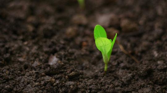 Talajstratégia 7 lépésben