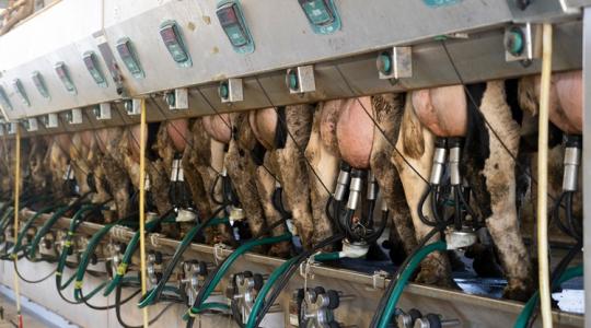 Világklasszis futó „rossz cipőben”: szerinted mennyire lesz eredményes?