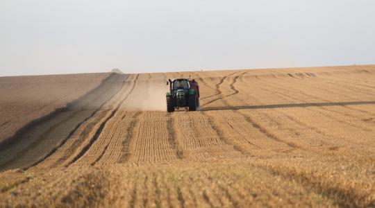 Lesújtó hangulat a gabonapiacon: egyre kevesebbet ér a termény