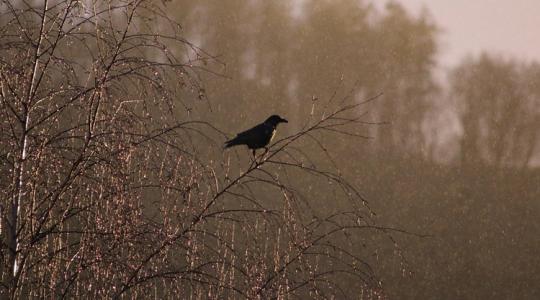 Időjárás: Ki ne menjen a földekre, aki nem bírja a szelet és a sarat!